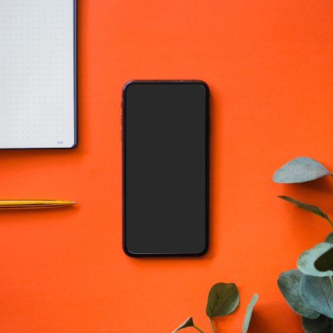 adomas-aleno-4vrZpOo7fTc-unsplash adomas-aleno-4vrZpOo7fTc-unsplash